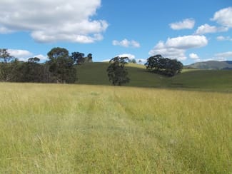 Rural / Farming commercial property sold at 1472A Glendonbrook Road Glendon Brook NSW 2330 Rural / Farming commercial property sold at 1472A Glendonbrook Road Glendon Brook NSW 2330