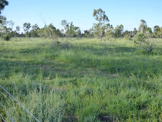 Rural / Farming commercial property sold at Charleville QLD 4470
