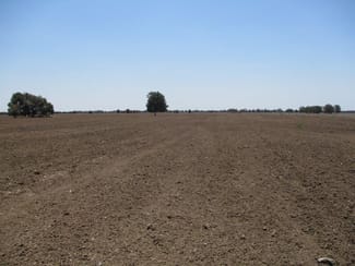Rural / Farming commercial property sold at 1870 ACRES FARMING AND GRAZING Hannaford QLD 4406 Rural / Farming commercial property sold at 1870 ACRES FARMING AND GRAZING Hannaford QLD 4406