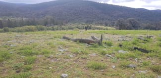 Rural / Farming commercial property sold at 655 Monaghans Rd Manildra NSW 2865 Rural / Farming commercial property sold at 655 Monaghans Rd Manildra NSW 2865