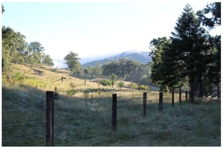 Rural / Farming commercial property sold at 405 ACRES CATTLE GRAZING Bunya Mountains QLD 4405 Rural / Farming commercial property sold at 405 ACRES CATTLE GRAZING Bunya Mountains QLD 4405