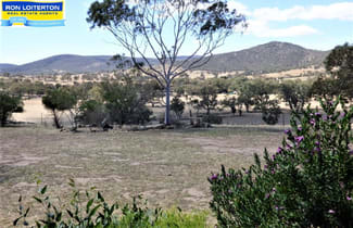 Rural / Farming commercial property sold at 3133 Olympic Highway "The Grange" Cootamundra NSW 2590