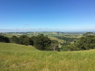 Rural / Farming commercial property sold at 2 Peaches Rd Foster VIC 3960 Rural / Farming commercial property sold at 2 Peaches Rd Foster VIC 3960