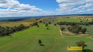 Rural / Farming commercial property sold at 2610 Castlereagh Highway Mudgee NSW 2850