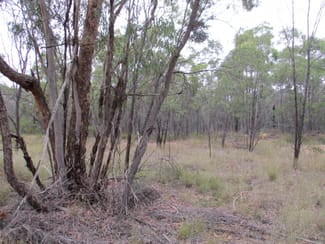 Rural / Farming commercial property for sale at Lot 280 Fortune Drive Tara QLD 4421 Rural / Farming commercial property for sale at Lot 280 Fortune Drive Tara QLD 4421