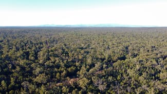 Rural / Farming commercial property sold at 214 Foxglen Lane Jacks Creek NSW 2390 Rural / Farming commercial property sold at 214 Foxglen Lane Jacks Creek NSW 2390