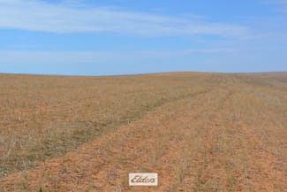 Rural / Farming commercial property for sale at 25 Pallarang – Minifie Road Cowangie VIC 3506