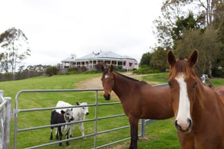 Rural / Farming commercial property sold at 387 Muldiva Road Dorrigo NSW 2453 Rural / Farming commercial property sold at 387 Muldiva Road Dorrigo NSW 2453