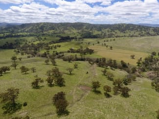 Rural / Farming commercial property sold at "Box Tree" 190 Coogah Lane Blandford NSW 2338
