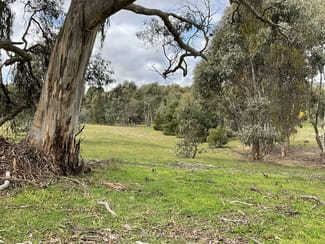 Rural / Farming commercial property for sale at Redbank-Barkly Road Barkly VIC 3384 Rural / Farming commercial property for sale at Redbank-Barkly Road Barkly VIC 3384