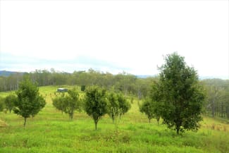 Rural / Farming commercial property sold at 160 Moras Road Lismore NSW 2480