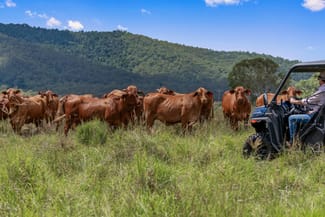 Rural / Farming commercial property sold at 116 Edwards Road Woolooga QLD 4570