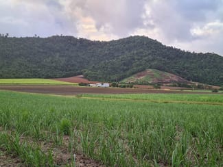 Rural / Farming commercial property sold at Friday Pocket QLD 4855