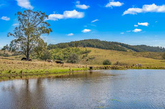 Rural / Farming commercial property sold at 449 Glen William Road Glen William NSW 2321 Rural / Farming commercial property sold at 449 Glen William Road Glen William NSW 2321