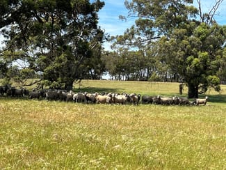 Rural / Farming commercial property for sale at 768 Lakelands Road Tenterden WA 6322 Rural / Farming commercial property for sale at 768 Lakelands Road Tenterden WA 6322