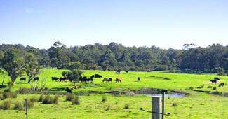Rural / Farming commercial property sold at 10 Walter Pierce Road Hazelvale WA 6333 Rural / Farming commercial property sold at 10 Walter Pierce Road Hazelvale WA 6333