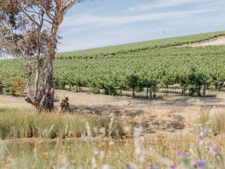 Rural / Farming commercial property for sale at 659A Spring Gully Road Clare SA 5453
