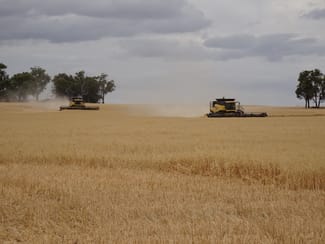 Rural / Farming commercial property sold at 1137 Boscabel-Chittinup Road Boscabel WA 6394 Rural / Farming commercial property sold at 1137 Boscabel-Chittinup Road Boscabel WA 6394
