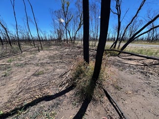 Rural / Farming commercial property for sale at Lot 16 Tara-Chinchilla Road Tara QLD 4421
