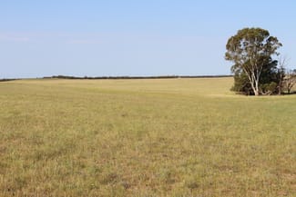 Rural / Farming commercial property sold at Lameroo SA 5302 Rural / Farming commercial property sold at Lameroo SA 5302