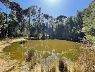 Rural / Farming commercial property sold at 00 Fraser Rd Pegarah TAS 7256 Rural / Farming commercial property sold at 00 Fraser Rd Pegarah TAS 7256