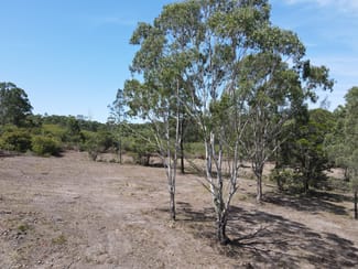 Rural / Farming commercial property sold at Lot 33/448 East Seaham Road East Seaham NSW 2324 Rural / Farming commercial property sold at Lot 33/448 East Seaham Road East Seaham NSW 2324