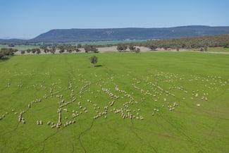 Rural / Farming commercial property sold at 799 Pleasant Valley Road Binya NSW 2665 Rural / Farming commercial property sold at 799 Pleasant Valley Road Binya NSW 2665