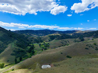 Rural / Farming commercial property sold at "Cooleen North" Bushs Creek Road Timor Via Murrurundi NSW 2338