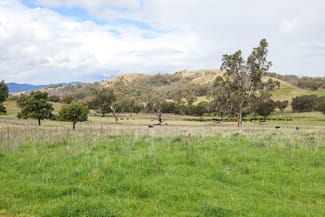 Rural / Farming commercial property sold at Wongabina Monteray Rd Loomberah NSW 2340 Rural / Farming commercial property sold at Wongabina Monteray Rd Loomberah NSW 2340