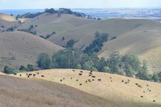 Rural / Farming commercial property sold at 1407 Foster-Mirboo Road Dollar VIC 3871