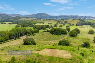 Rural / Farming commercial property sold at 371 The Pocket Road The Pocket NSW 2483