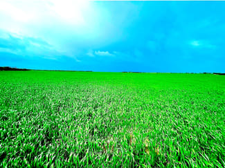 Rural / Farming commercial property for sale at 1830 Finlayson Road Petina SA 5680