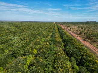 Rural / Farming commercial property sold at Douglas-daly NT 0822 Rural / Farming commercial property sold at Douglas-daly NT 0822