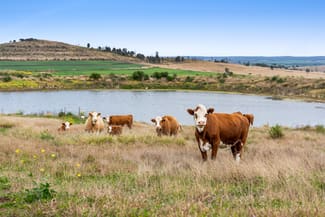 Rural / Farming commercial property sold at 296 Barr Road Clontarf QLD 4357