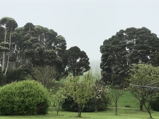 Rural / Farming commercial property sold at 90 Bischoffs Road Pegarah TAS 7256