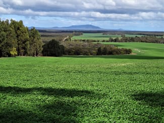 Rural / Farming commercial property sold at 335 Drawbin Road South Stirling WA 6324 Rural / Farming commercial property sold at 335 Drawbin Road South Stirling WA 6324