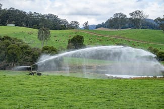 Rural / Farming commercial property for sale at 1431 Coramba Road Dorrigo NSW 2453
