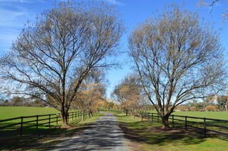 Rural / Farming commercial property sold at 2856 Olympic Highway Wagga Wagga NSW 2650 Rural / Farming commercial property sold at 2856 Olympic Highway Wagga Wagga NSW 2650