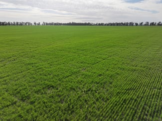 Rural / Farming commercial property for sale at Part 'Girraween' Schmidts Lane Quandary NSW 2665