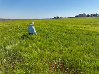 Rural / Farming commercial property sold at 2284/ Garthe Road Aubigny QLD 4401 Rural / Farming commercial property sold at 2284/ Garthe Road Aubigny QLD 4401