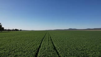 Rural / Farming commercial property sold at 54 Ellerslie Street Premer NSW 2381 Rural / Farming commercial property sold at 54 Ellerslie Street Premer NSW 2381