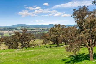 Rural / Farming commercial property sold at 87 Carstairs Road Langley VIC 3444 Rural / Farming commercial property sold at 87 Carstairs Road Langley VIC 3444