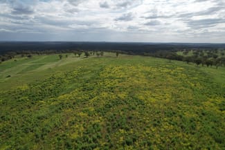 Rural / Farming commercial property for sale at Merriwa NSW 2329 Rural / Farming commercial property for sale at Merriwa NSW 2329