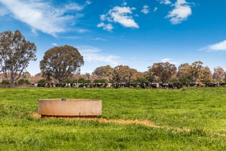 Rural / Farming commercial property for sale at 2217 Henderson Road Girgarre VIC 3624 Rural / Farming commercial property for sale at 2217 Henderson Road Girgarre VIC 3624