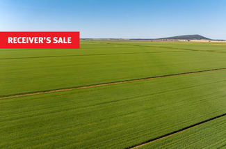 Rural / Farming commercial property sold at Boundary Road Murrami NSW 2705 Rural / Farming commercial property sold at Boundary Road Murrami NSW 2705