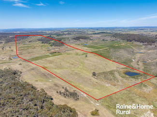 Rural / Farming commercial property sold at 495 Graywood Siding Road Woodhouselee NSW 2580 Rural / Farming commercial property sold at 495 Graywood Siding Road Woodhouselee NSW 2580