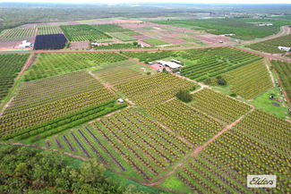 Rural / Farming commercial property for sale at 125 Buckley Road Lambells Lagoon NT 0822 Rural / Farming commercial property for sale at 125 Buckley Road Lambells Lagoon NT 0822