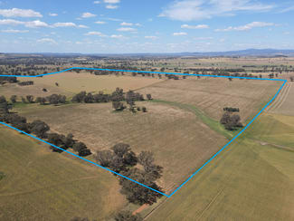 Rural / Farming commercial property for sale at 1 Tremains Lane Toogong NSW 2864