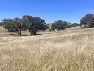 Rural / Farming commercial property for sale at 250 Emu Creek Road Canowindra NSW 2804 Rural / Farming commercial property for sale at 250 Emu Creek Road Canowindra NSW 2804