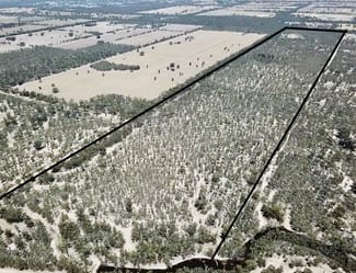 Rural / Farming commercial property for sale at Lot 53 Old Deniliquin Road Moama NSW 2731